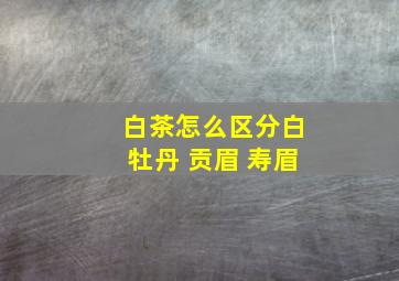 白茶怎么区分白牡丹 贡眉 寿眉